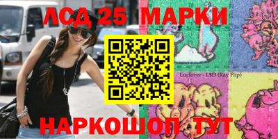индика Апшеронск