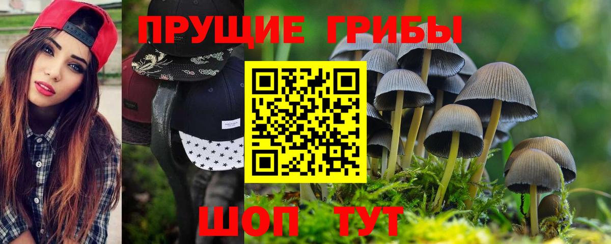 Псилоцибиновые грибы Psilocybine cubensis Аргун